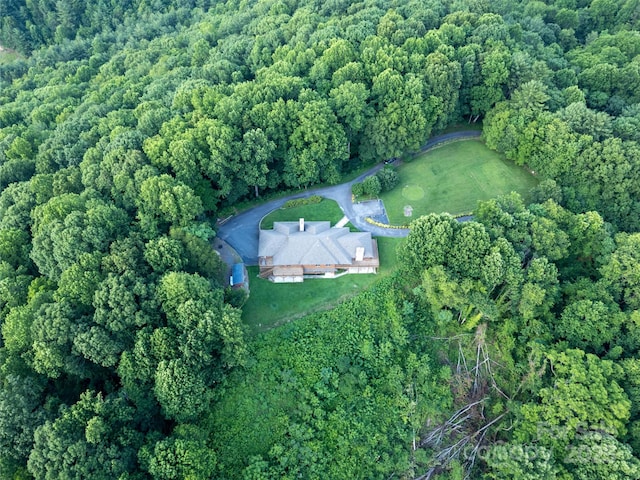 1087 Brigadoon Dr, Clyde, NC 28721 - photo 41