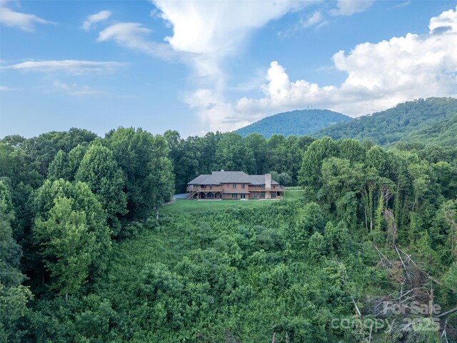 1087 Brigadoon Dr, Clyde, NC 28721 - photo 42