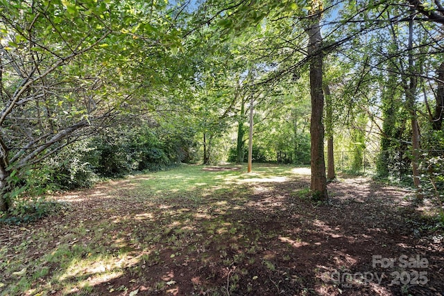 404 Community St, Rock Hill, SC 29730 - photo 8