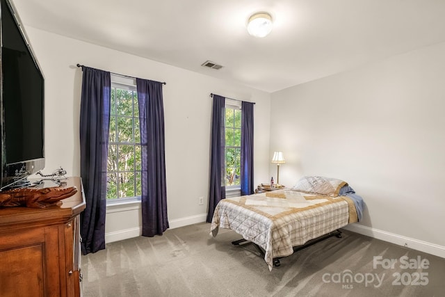 6123 Abergele Ln, Matthews, NC 28104 - bedroom with baseboards and carpet flooring