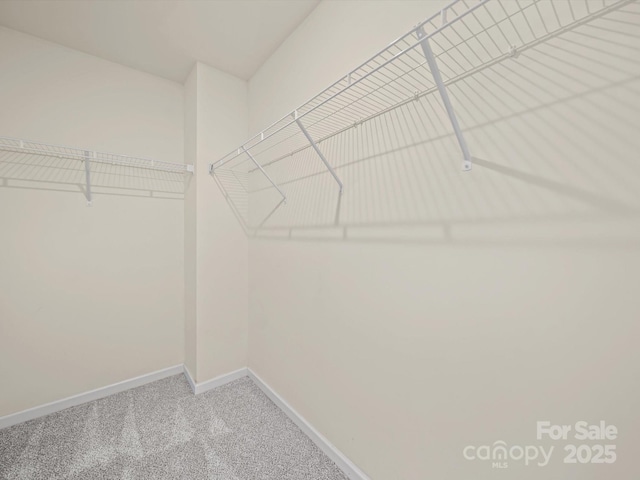 15239 Wrights Crossing Dr, Charlotte, NC 28278 - spacious closet with carpet floors