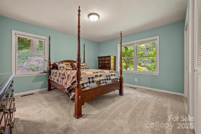 467 Winners Cir, Tryon, NC 28782 - carpeted bedroom with multiple windows and a closet