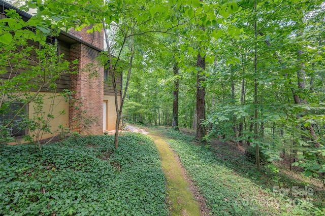 467 Winners Cir, Tryon, NC 28782 - view of yard