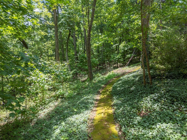467 Winners Cir, Tryon, NC 28782 - view of wooded area