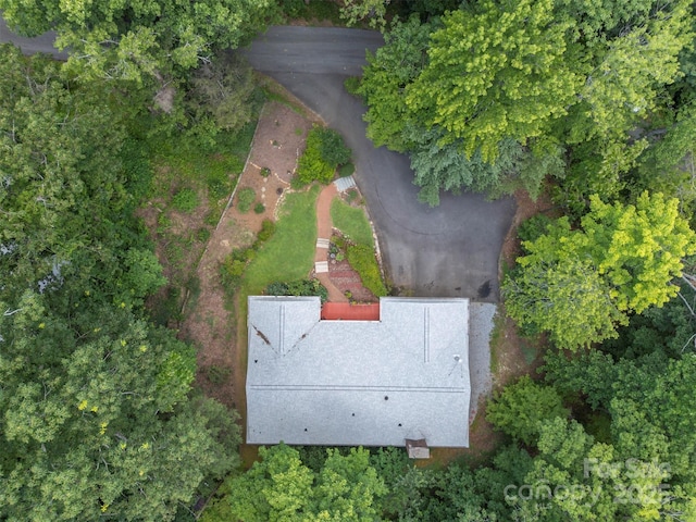 467 Winners Cir, Tryon, NC 28782 - drone / aerial view