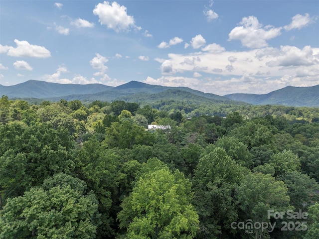467 Winners Cir, Tryon, NC 28782 - mountain view with a forest