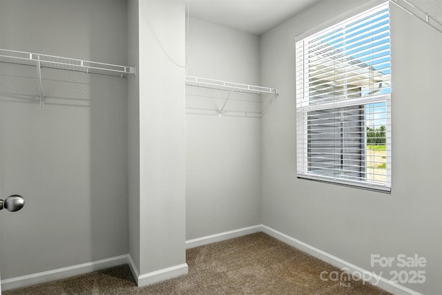 1525 39th Avenue Loop NE Unit 4, Hickory, NC 28601 - spacious closet featuring carpet flooring