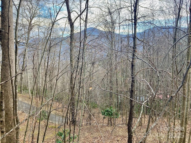 402 Loveland Rd Unit 4, Maggie Valley, NC 28751 - photo 1