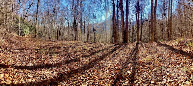 402 Loveland Rd Unit 4, Maggie Valley, NC 28751 - photo 2
