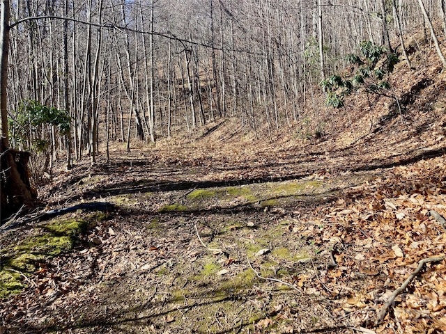 402 Loveland Rd Unit 4, Maggie Valley, NC 28751 - photo 3