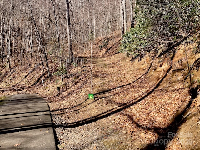 402 Loveland Rd Unit 4, Maggie Valley, NC 28751 - photo 4