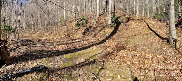 402 Loveland Rd Unit 4, Maggie Valley, NC 28751 - photo 6