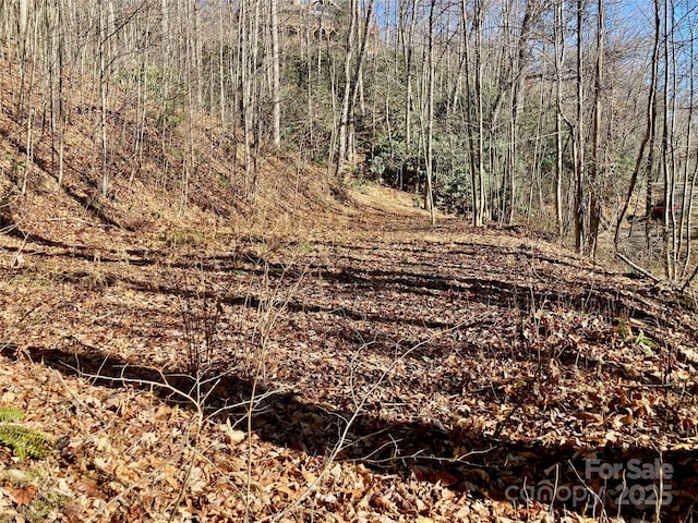 402 Loveland Rd Unit 4, Maggie Valley, NC 28751 - photo 7