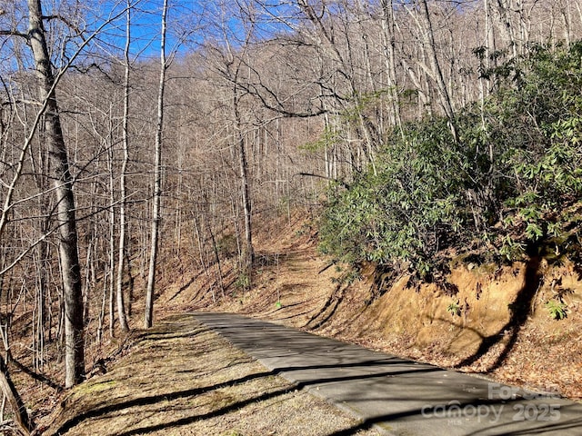 402 Loveland Rd Unit 4, Maggie Valley, NC 28751 - photo 8