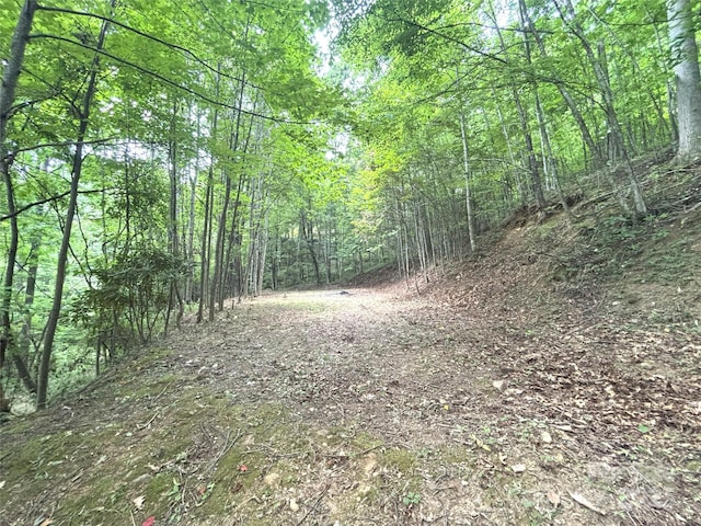 402 Loveland Rd Unit 4, Maggie Valley, NC 28751 - photo 16