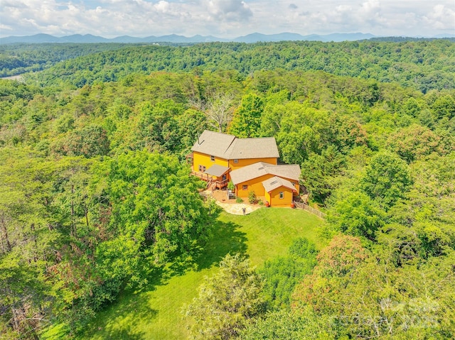 15 Mountain Tea Ln, Alexander, NC 28701 - photo 42
