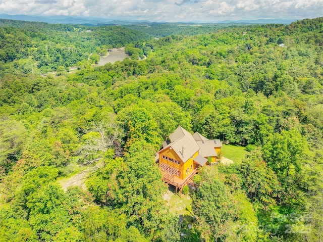 15 Mountain Tea Ln, Alexander, NC 28701 - photo 3