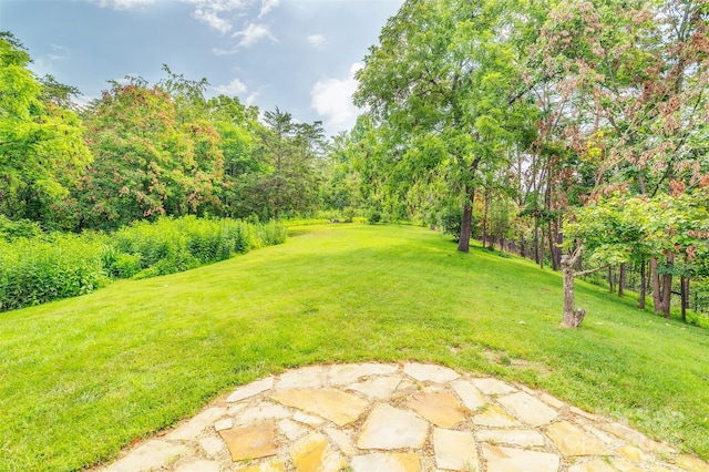 15 Mountain Tea Ln, Alexander, NC 28701 - photo 33