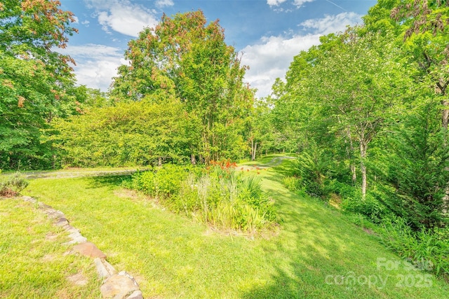 15 Mountain Tea Ln, Alexander, NC 28701 - photo 36