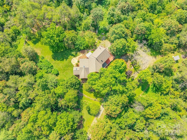 15 Mountain Tea Ln, Alexander, NC 28701 - photo 40