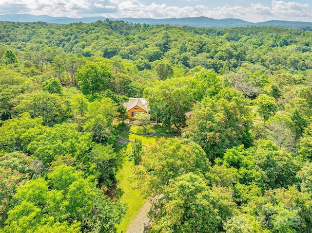 15 Mountain Tea Ln, Alexander, NC 28701 - photo 41