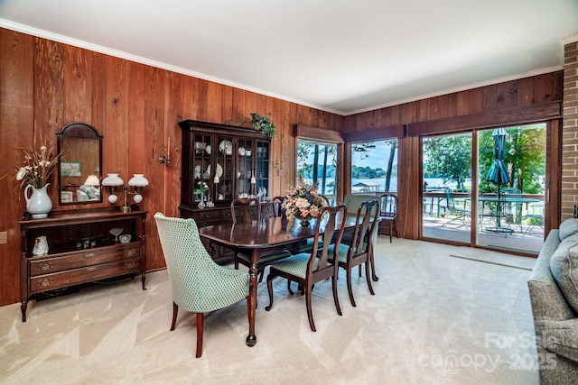 8448 Normandy Rd, Denver, NC 28037 - dining space featuring carpet floors, crown molding, and wooden walls