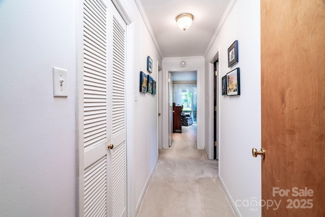 8448 Normandy Rd, Denver, NC 28037 - corridor with light colored carpet and ornamental molding