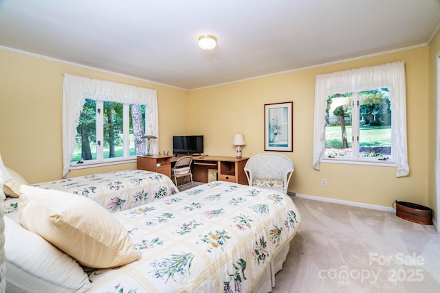 8448 Normandy Rd, Denver, NC 28037 - bedroom with light carpet and ornamental molding