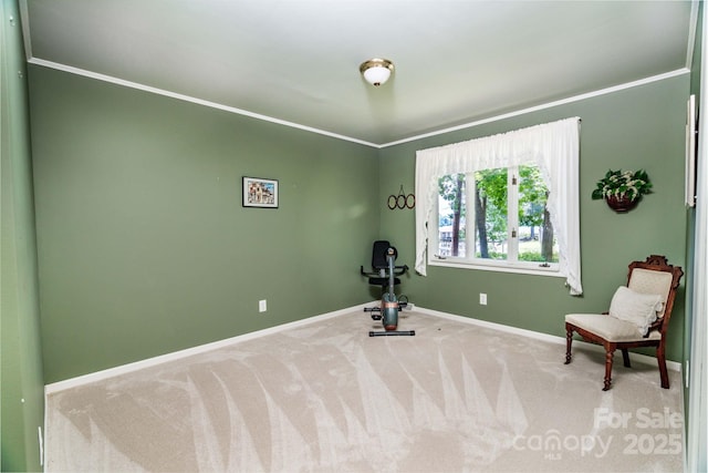 8448 Normandy Rd, Denver, NC 28037 - exercise room with carpet flooring and crown molding
