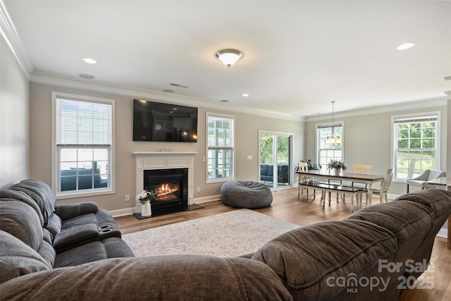 10906 Angler Ct, Davidson, NC 28036 - living room with wood finished floors, crown molding, a glass covered fireplace, and recessed lighting