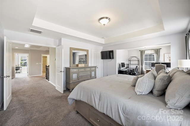 10906 Angler Ct, Davidson, NC 28036 - carpeted bedroom featuring a tray ceiling