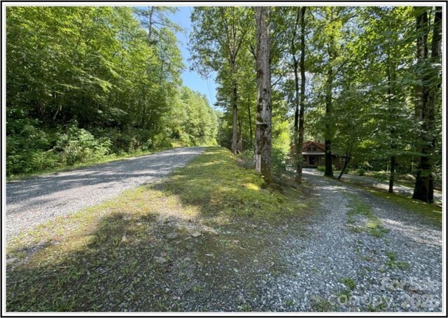 4700 W Buffalo Rd, Robbinsville, NC 28771 - photo 4
