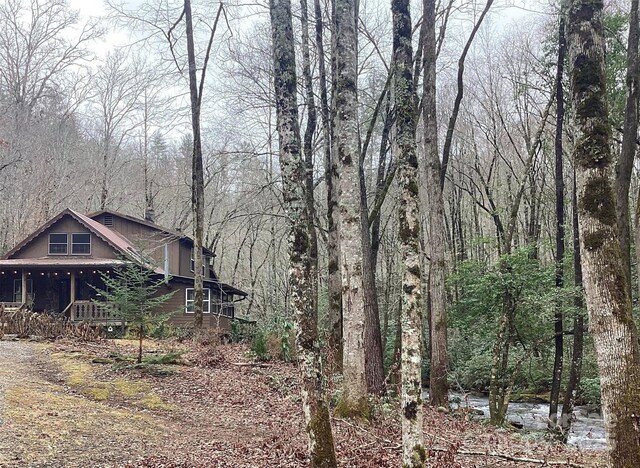 4700 W Buffalo Rd, Robbinsville, NC 28771 - photo 11