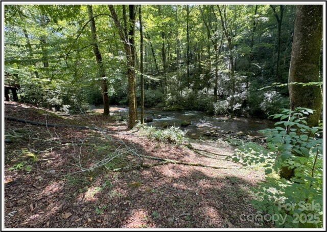 4700 W Buffalo Rd, Robbinsville, NC 28771 - photo 17