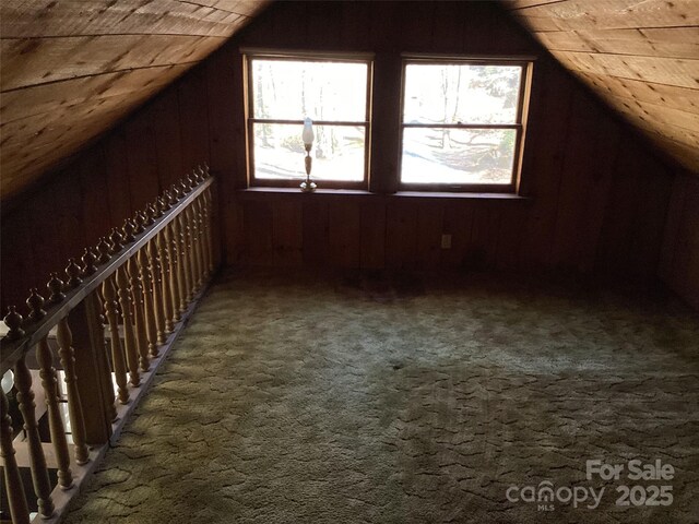 4700 W Buffalo Rd, Robbinsville, NC 28771 - photo 23