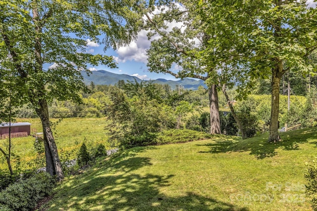 59 Old Lakey Gap Rd, Black Mountain, NC 28711 - view of green lawn with a mountain view, a jacuzzi, and a view of trees