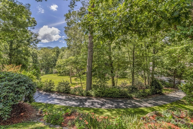 59 Old Lakey Gap Rd, Black Mountain, NC 28711 - surrounding community with a forest view and a lawn