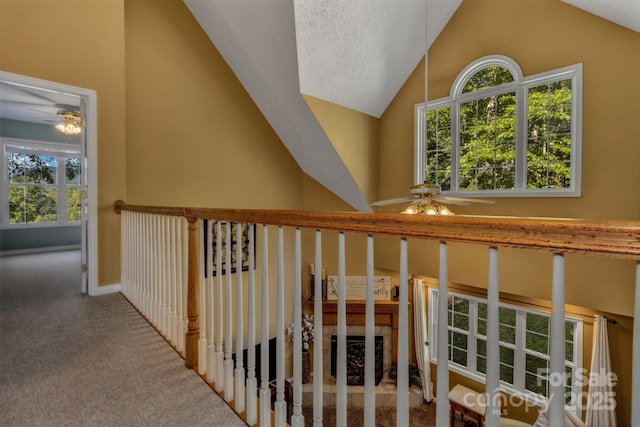59 Old Lakey Gap Rd, Black Mountain, NC 28711 - hallway with carpet, vaulted ceiling, and plenty of natural light
