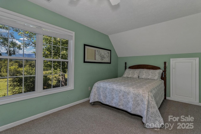 59 Old Lakey Gap Rd, Black Mountain, NC 28711 - carpeted bedroom with lofted ceiling and a ceiling fan
