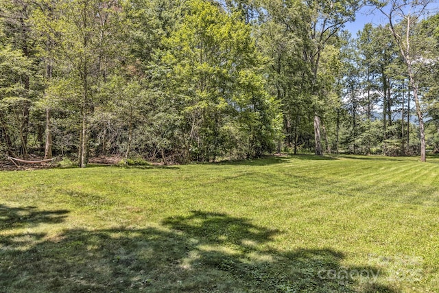 59 Old Lakey Gap Rd, Black Mountain, NC 28711 - view of grassy yard