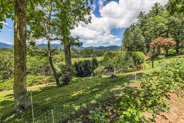 59 Old Lakey Gap Rd, Black Mountain, NC 28711 - view of mountain backdrop