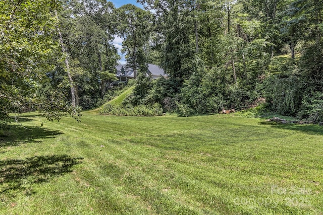 59 Old Lakey Gap Rd, Black Mountain, NC 28711 - view of grassy yard