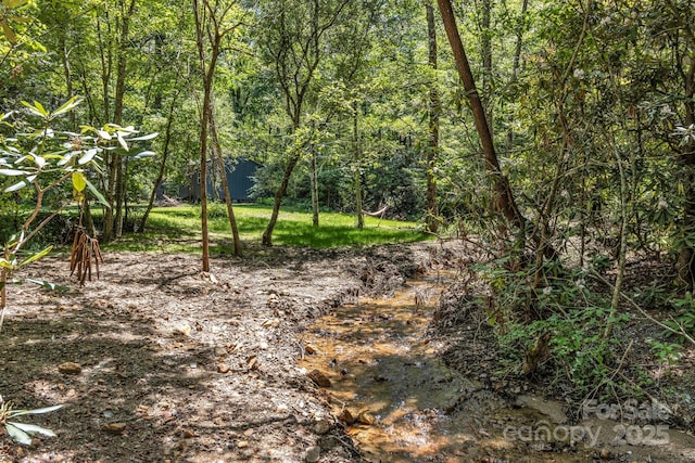 59 Old Lakey Gap Rd, Black Mountain, NC 28711 - view of local wilderness