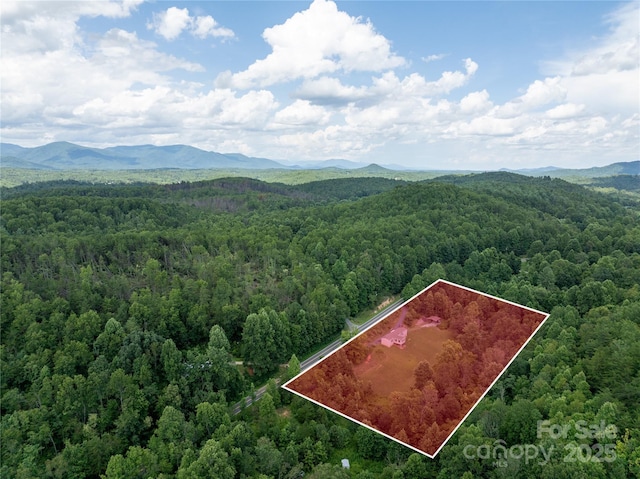 4851 Bethlehem Rd, Old Fort, NC 28762 - photo 3