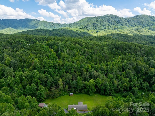 4851 Bethlehem Rd, Old Fort, NC 28762 - photo 13