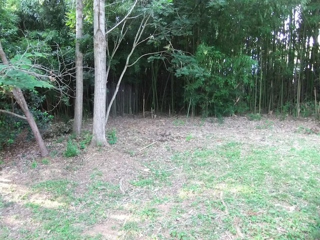 1629 Harris Rd, Fort Mill, SC 29708 - photo 6