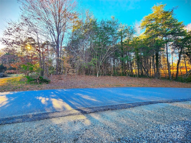 287 Ben Eller Ln, Taylorsville, NC 28681 - photo 2