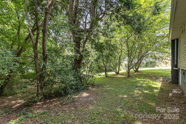 210 Tuckaseege Rd, Mount Holly, NC 28120 - photo 24