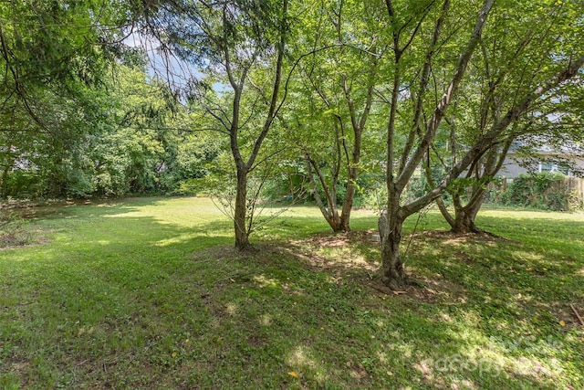 210 Tuckaseege Rd, Mount Holly, NC 28120 - photo 26