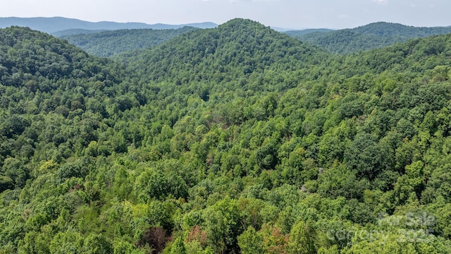 3448 Valley Dr, Lenoir, NC 28645 - photo 28